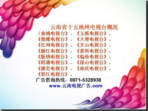 昭通电视台广告部 昭通电视台广告电话 咨询昆明晓升广告_商务服务