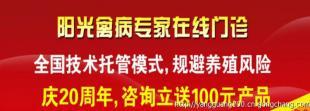阳光全国技术托管让您养殖全程无忧_商务服务_世界工厂网