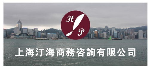 上海汀海商务咨询