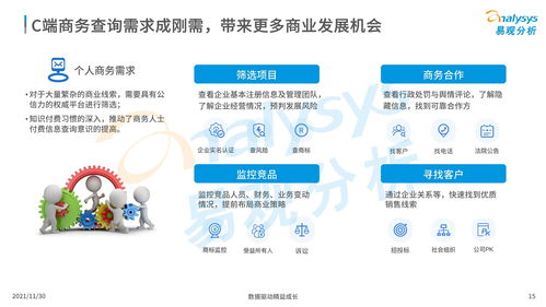 中国商业查询市场分析2021