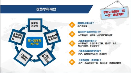 2020上海海洋大学报考宝典,你想了解的这里都有