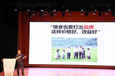 麻章区政府网站