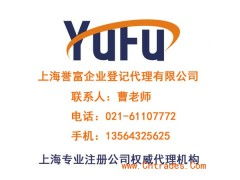 上海怎样注册一个商务咨询服务公司