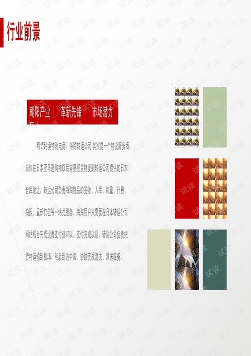 2020跨境电商运转 精品商业计划书解析与商务咨询